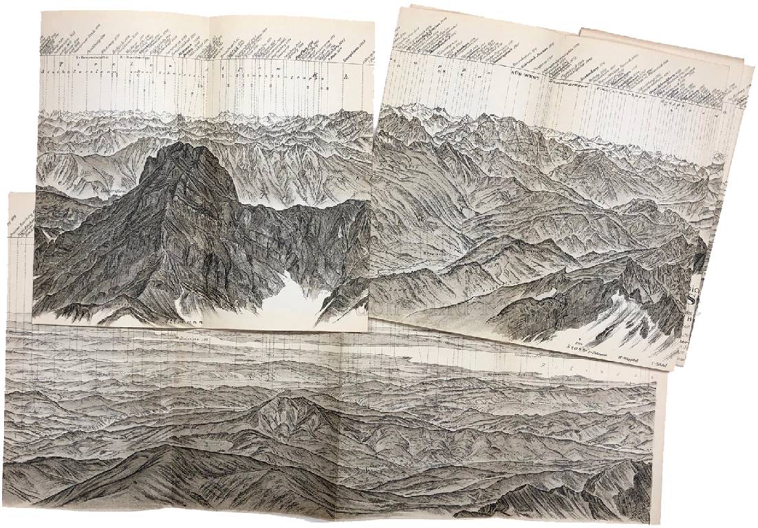 ALBERT HEIM August Laube